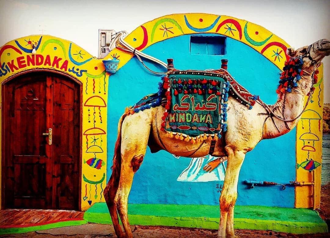 فندق Kendaka Nubian House أسوان المظهر الخارجي الصورة